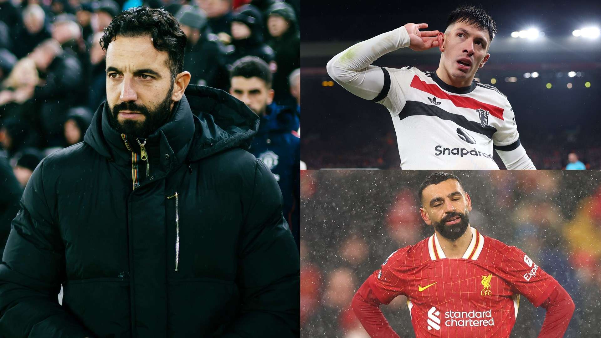 青少年阶段 青少年阶段